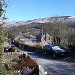 Rose * Richmond (North Yorkshire)
